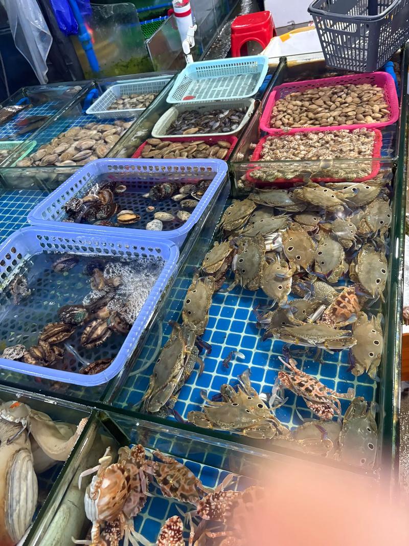 广州生鲜配送：食材的新鲜之旅