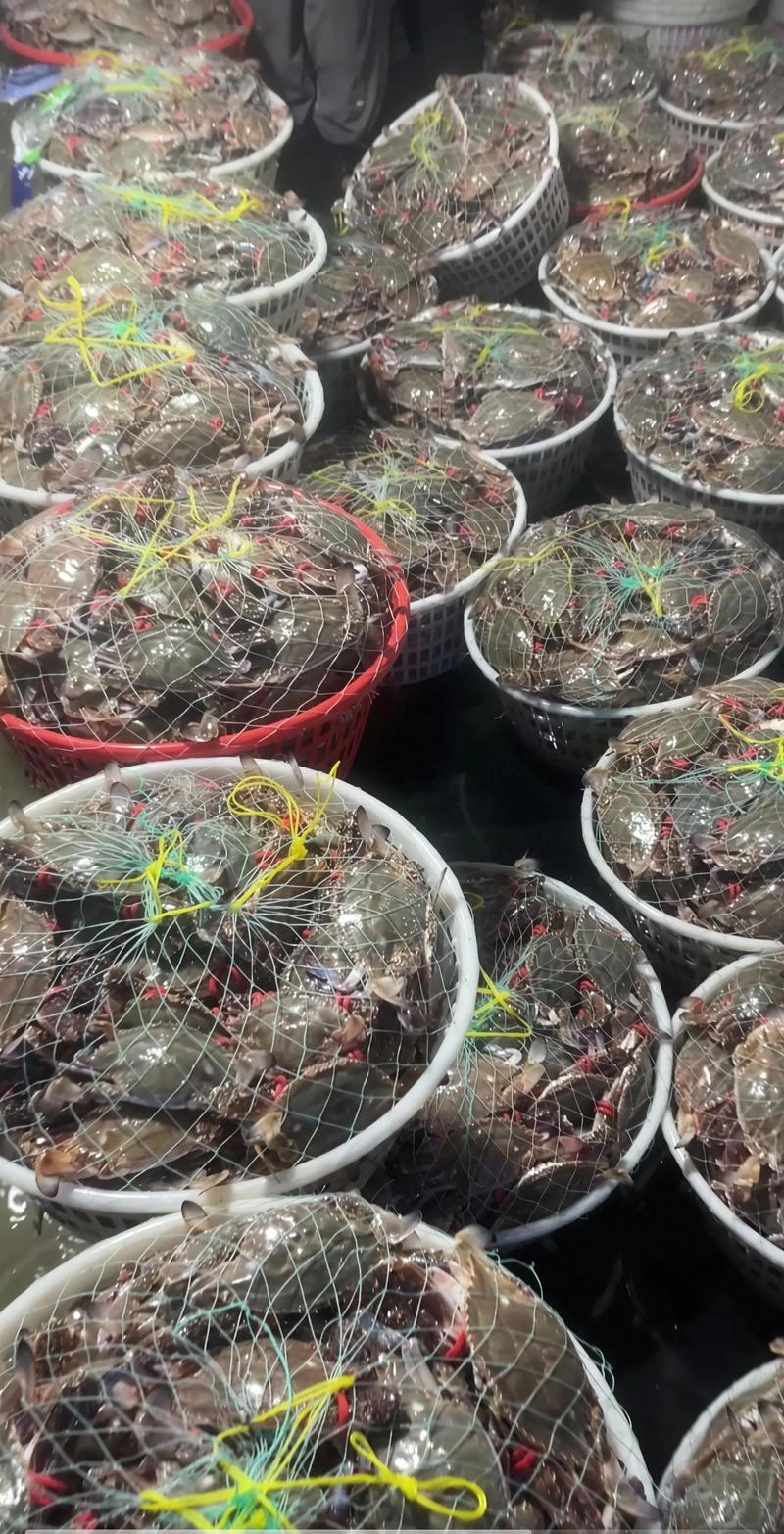 肉禽蛋批发行业动态：市场发展趋势与机遇